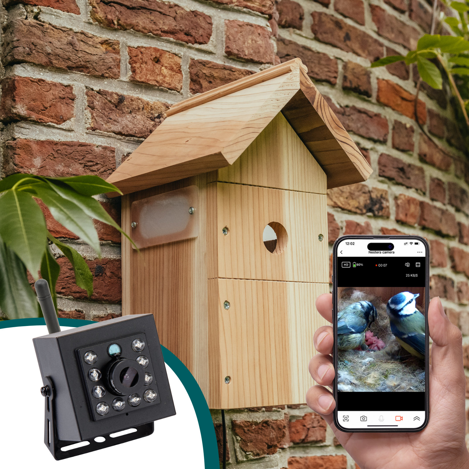 Ip bird box camera 2025