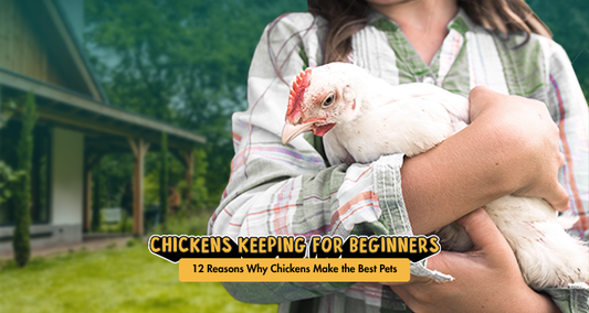 12 Reasons Why Chickens Make the Best Pets