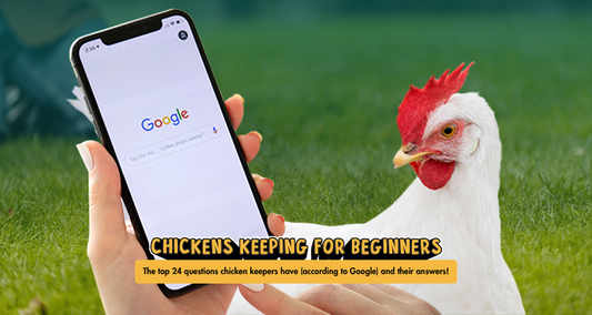 The top 24 questions chicken keepers have and their answers!