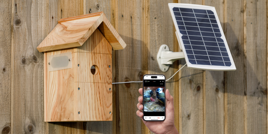 C'est la saison de l'ornithologie et nous en sommes ravis cette année ! 