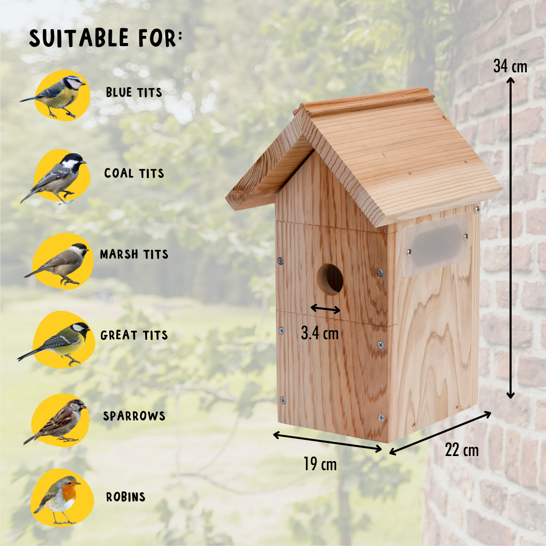 Rspb bird online box camera
